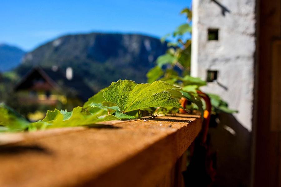 Apartmaji Pri Kozmavo - Little House Bohinj Exterior foto
